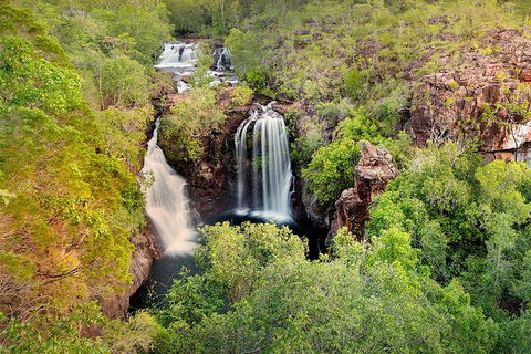 Full-Day Private Guided Tour To Litchfield National Park - Accommodation in Brisbane 0