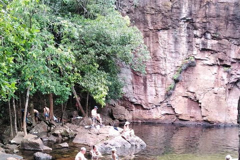 Full-Day Private Guided Tour To Litchfield National Park - Accommodation in Brisbane 16