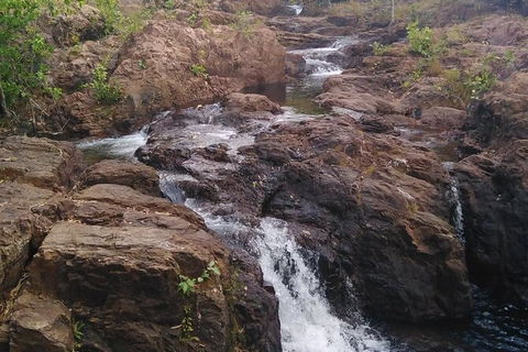 Full-Day Private Guided Tour To Litchfield National Park - Accommodation in Brisbane 15