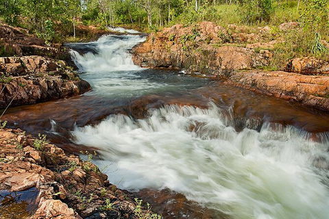 Full-Day Private Guided Tour To Litchfield National Park - Accommodation in Brisbane 3