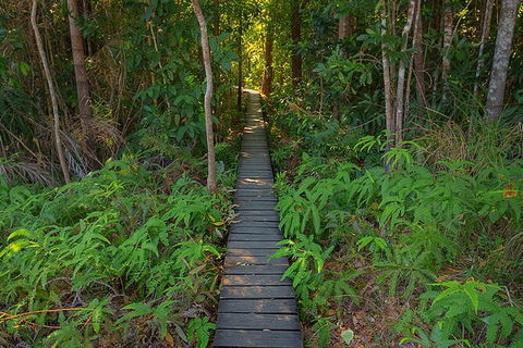 Full-Day Private Guided Tour To Litchfield National Park - Accommodation in Brisbane 7