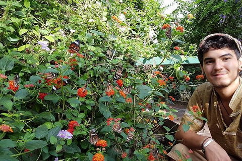 Full-Day Private Guided Tour To Litchfield National Park - Accommodation in Brisbane 17