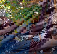 Arnhem Land Injalak Hill Full-Day Tour from Darwin - Accommodation in Brisbane