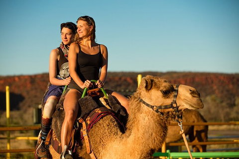 4 Day/3 Night Perentie Dreaming Safari - Accommodation in Brisbane 1
