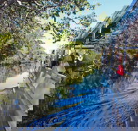 Serenity Cruise to Australia's Everglades - Accommodation in Brisbane