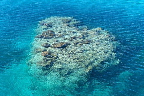 Lady Musgrave Day Trip From Bundaberg Including Snorkeling, Glass Bottom Tour And Guided Island Walk - Accommodation in Brisbane 2