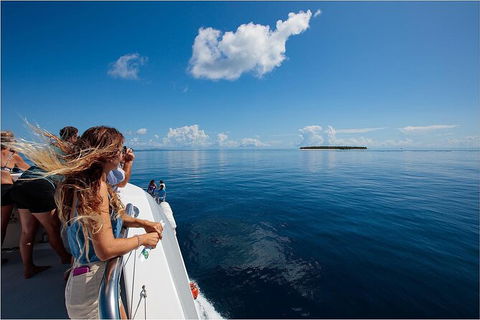 Lady Musgrave Day Trip From Bundaberg Including Snorkeling, Glass Bottom Tour And Guided Island Walk - Accommodation in Brisbane 4