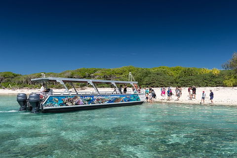 Lady Musgrave Day Trip From Bundaberg Including Snorkeling, Glass Bottom Tour And Guided Island Walk - Accommodation in Brisbane 5