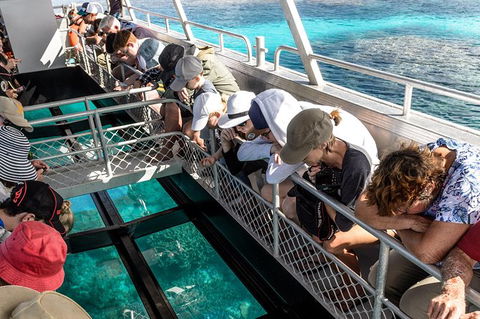Lady Musgrave Day Trip From Bundaberg Including Snorkeling, Glass Bottom Tour And Guided Island Walk - Accommodation in Brisbane 3