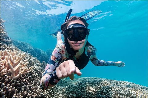 Lady Musgrave Day Trip From Bundaberg Including Snorkeling, Glass Bottom Tour And Guided Island Walk - Accommodation in Brisbane 1