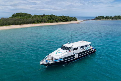 Full-Day Cruise Tour To Frankland Islands Great Barrier Reef - Accommodation in Brisbane 14