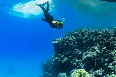 Full-Day Cruise Tour To Frankland Islands Great Barrier Reef - Accommodation in Brisbane 6