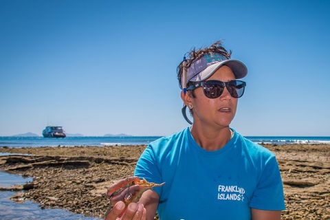 Full-Day Cruise Tour To Frankland Islands Great Barrier Reef - Accommodation in Brisbane 13