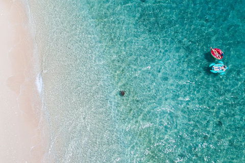 Full-Day Cruise Tour To Frankland Islands Great Barrier Reef - Accommodation in Brisbane 19