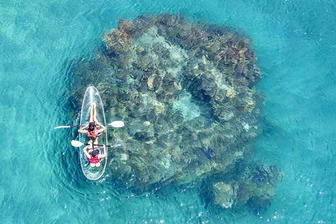 Full-Day Cruise Tour To Frankland Islands Great Barrier Reef - Accommodation in Brisbane 1