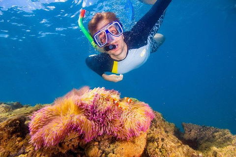 Full-Day Cruise Tour To Frankland Islands Great Barrier Reef - Accommodation in Brisbane 16