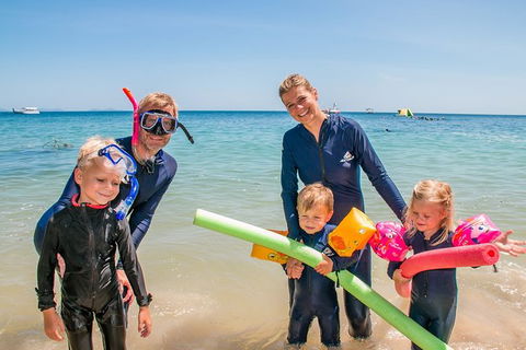 Full-Day Cruise Tour To Frankland Islands Great Barrier Reef - Accommodation in Brisbane 0