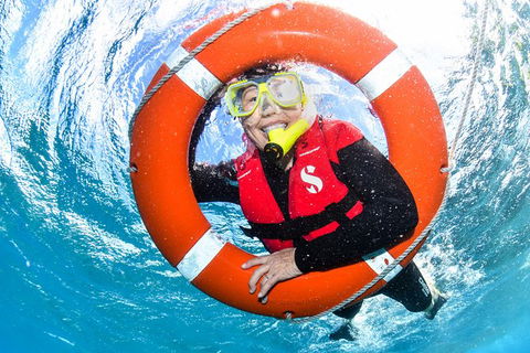 Full-Day Cruise Tour To Frankland Islands Great Barrier Reef - Accommodation in Brisbane 4