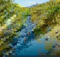 Cruise 'n' Canoe to Australia's Everglades - Accommodation in Brisbane