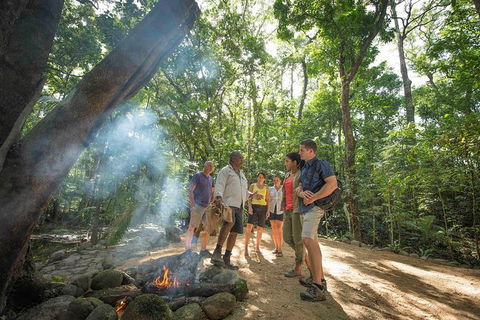 Aboriginal Cultural Daintree Rainforest Tour From Cairns Or Port Douglas - Accommodation in Brisbane 3