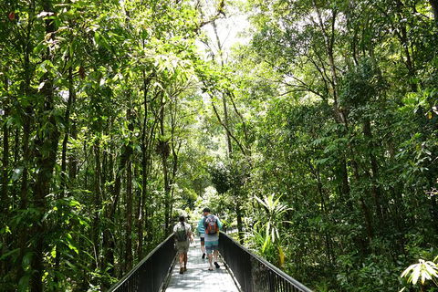Aboriginal Cultural Daintree Rainforest Tour From Cairns Or Port Douglas - Accommodation in Brisbane 4