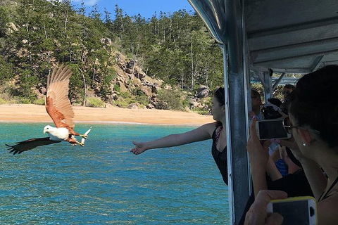 Aquascene Magnetic Island Discovery Tour - Accommodation in Brisbane 2