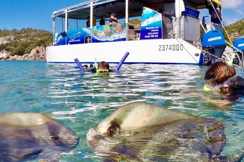 Aquascene Magnetic Island Discovery Tour - Accommodation in Brisbane 4