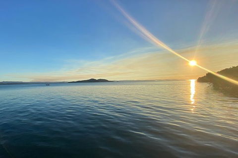 Aquascene Magnetic Island Discovery Tour - Accommodation in Brisbane 3