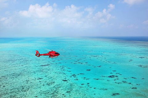 Ultimate Great Barrier Reef And Rainforest 45-minute Helicopter Tour - Accommodation in Brisbane 4