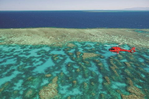 Ultimate Great Barrier Reef And Rainforest 45-minute Helicopter Tour - Accommodation in Brisbane 2