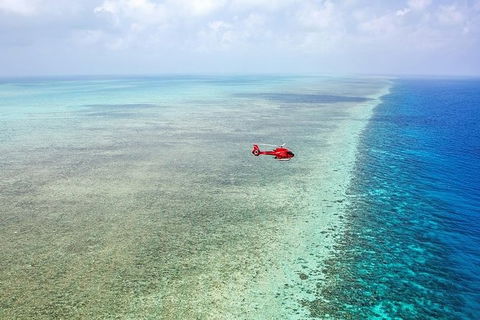 Ultimate Great Barrier Reef And Rainforest 45-minute Helicopter Tour - Accommodation in Brisbane 5