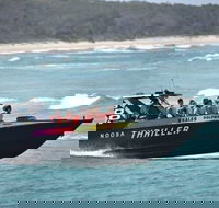 Noosa Thriller - 500hp Ocean Adventure Ride - Accommodation in Brisbane