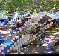 Sunshine Coast Eumundi Markets Return Minibus Transfer - Accommodation in Brisbane