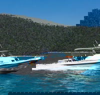 Private Standard Charter Experience in Whitsundays - Accommodation in Brisbane