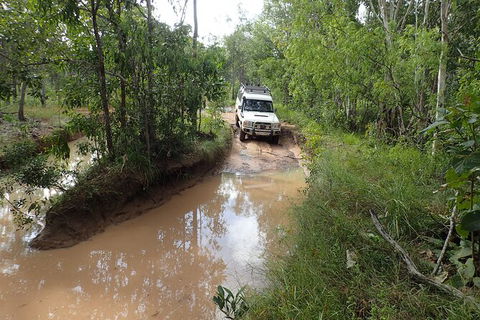 Cairns 4WD Waterfall And Rainforest Tour Including Kuranda Scenic Railway - Accommodation in Brisbane 3