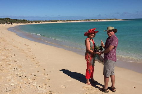 Elope In Paradise - Weddings At Mission Beach - Accommodation in Brisbane 6