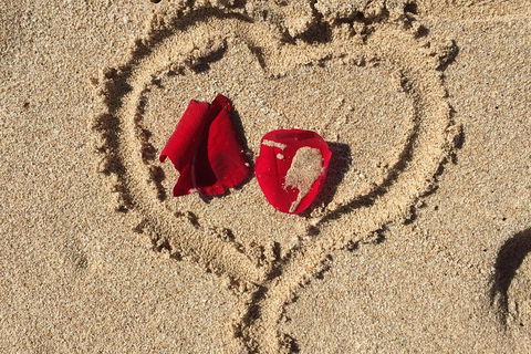 Elope In Paradise - Weddings At Mission Beach - Accommodation in Brisbane 3