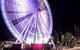Discover Brisbane - thumb 9