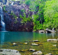 Reef Wildlife  Rainforest - Reef  Beyond Guided Holidays - Accommodation in Brisbane
