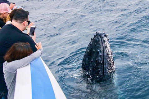 Gold Coast City Card (2 Days): Visit Unlimited Attractions - Accommodation in Brisbane 5