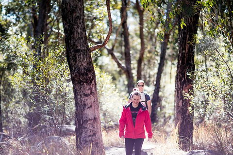 Stanthorpe Winery Experience - Accommodation in Brisbane 13