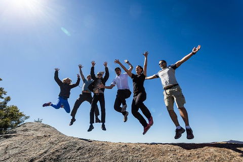 Stanthorpe Winery Experience - Accommodation in Brisbane 7