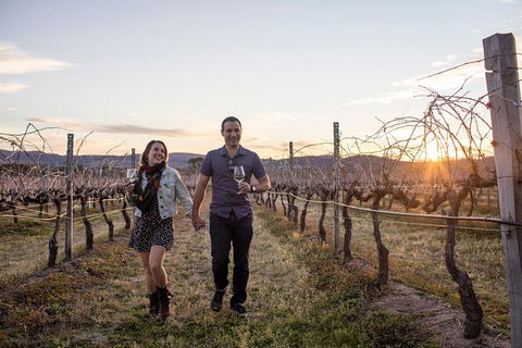 Stanthorpe Winery Experience - Accommodation in Brisbane 10