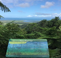 Daintree Luxury Limousine Tour - Full Day - Accommodation in Brisbane