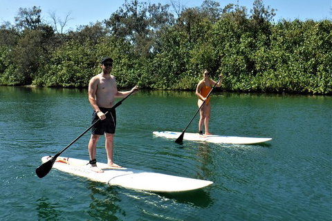 Paddle Board Hire In Surfers Paradise - Accommodation in Brisbane 2