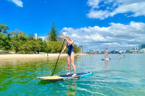 Paddle Board Hire In Surfers Paradise - Accommodation in Brisbane 0