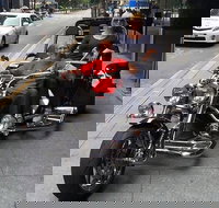 Unique vehicle tour around Brisbane - Accommodation in Brisbane