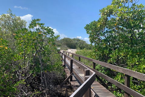 Hinchinbrook Island Tour - Accommodation in Brisbane 4