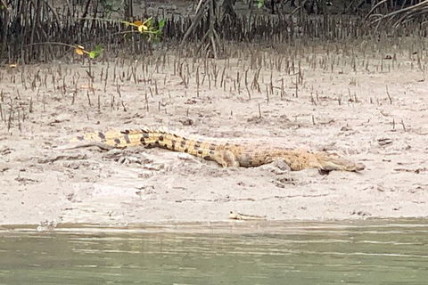 Hinchinbrook Island Tour - Accommodation in Brisbane 2