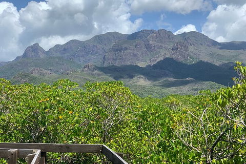 Hinchinbrook Island Tour - Accommodation in Brisbane 0